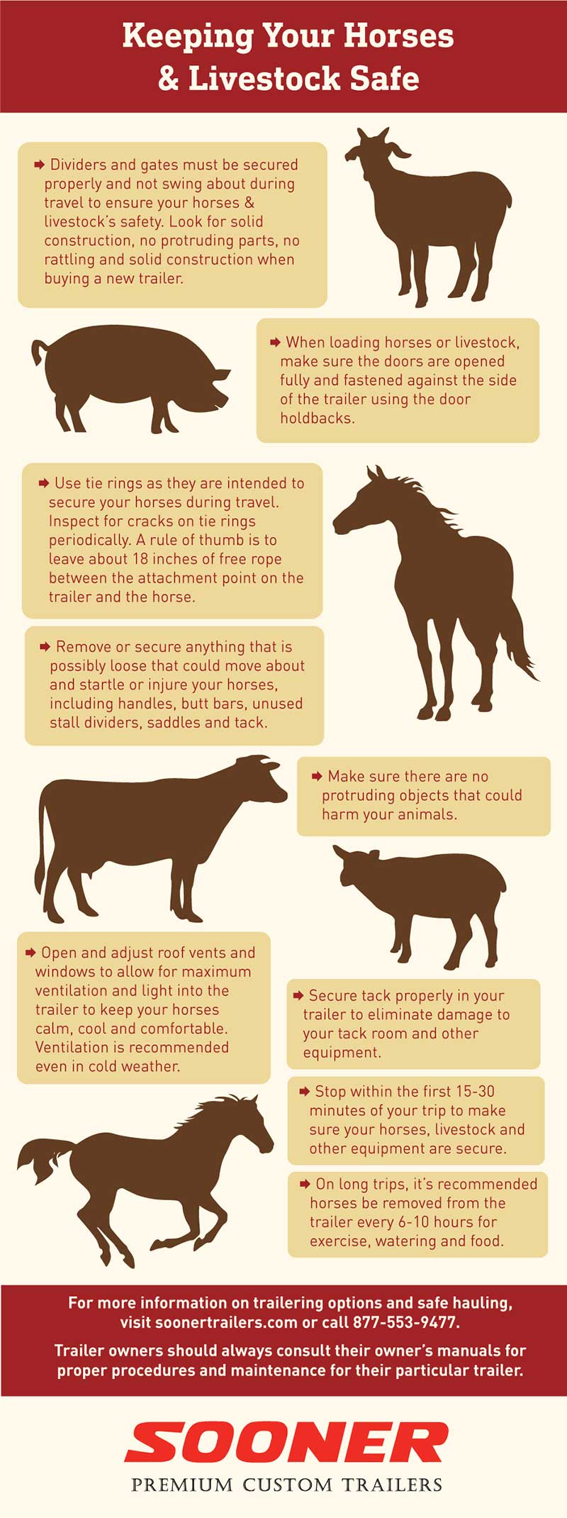 Sooner horse livestock safety info